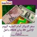 سعر الدولار أمام الجنيه اليوم الإثنين 29 يناير 2024 داخل البنوك