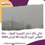 خالي بالك احذر الشبورة كثيفة.. حالة الطقس اليوم الأربعاء 28 فبراير 2024.