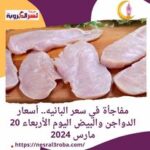 مفاجأة في سعر البانيه.. أسعار الدواجن والبيض اليوم الأربعاء 20 مارس 2024
