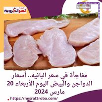 مفاجأة في سعر البانيه.. أسعار الدواجن والبيض اليوم الأربعاء 20 مارس 2024