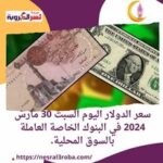 سعر الدولار اليوم السبت 30 مارس 2024 في البنوك الخاصة العاملة بالسوق المحلية.