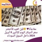 مفاجأة قبل العيد للأخضر .. سعر الدولار اليوم الإثنين 8 أبريل 2024 داخل السوق السوداء