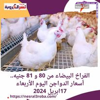 الفراخ البيضاء من 80 و 81 جنيه.. أسعار الدواجن اليوم الأربعاء 17ابريل 2024