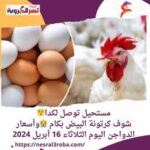 مستحيل توصل لكدا شوف كرتونة البيض بكام ..وأسعار الدواجن اليوم الثلاثاء 16 أبريل 2024