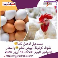 مستحيل توصل لكدا شوف كرتونة البيض بكام ..وأسعار الدواجن اليوم الثلاثاء 16 أبريل 2024