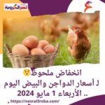 انخفاض ملحوظ لـ أسعار الدواجن والبيض اليوم.. الأربعاء 1 مايو 2024