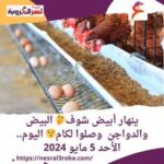 ينهار أبيض شوف البيض والدواجن وصلوا لكام اليوم.. الأحد 5 مايو 2024