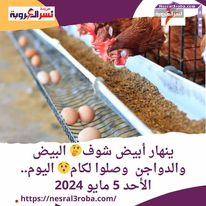 ينهار أبيض شوف البيض والدواجن وصلوا لكام اليوم.. الأحد 5 مايو 2024