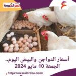 أسعار الدواجن والبيض اليوم.. الجمعة 10 مايو 2024 داخل بورصة الدواجن