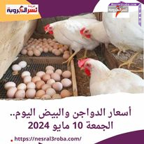 أسعار الدواجن والبيض اليوم.. الجمعة 10 مايو 2024 داخل بورصة الدواجن