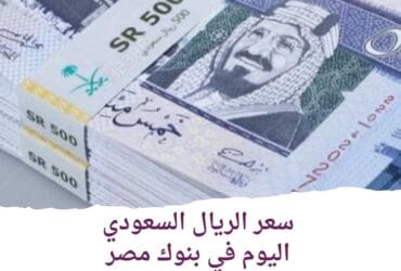 سعر الريال السعودي اليوم داخل بنوك مصر الخميس 20 يونيو 2024