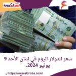 سعر الدولار في لبنان اليوم الأحد 9 يونيو 2024..تماسك الأسواق