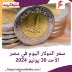 سعر الدولار اليوم في مصر الأحد 30 يونيو 2024..أمام الجنيه
