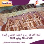 سعر الدولار أمام الجنيه المصري اليوم الثلاثاء 18 يونيو 2024