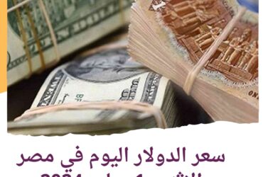 سعر الدولار اليوم في مصر الإثنين 1 يوليو 2024..