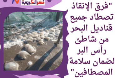 اصطادوا كل القناديل من شاطئ راس البر 😳😂 عقبال بلطيم 😂