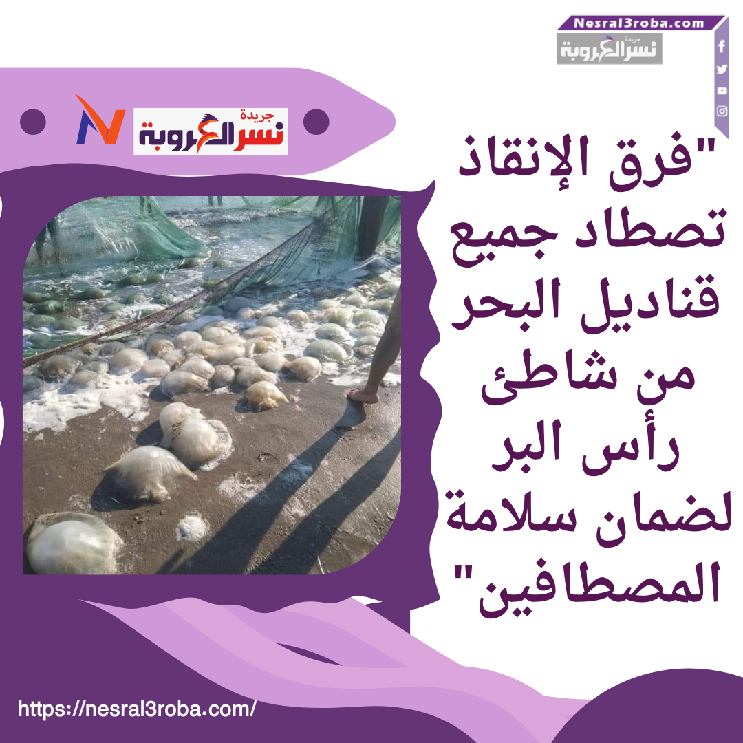 اصطادوا كل القناديل من شاطئ راس البر 😳😂 عقبال بلطيم 😂