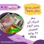 "سعر الدولار في مصر اليوم الخميس 11 يوليو 2024: الأخضر يتراجع بشكل ملحوظ"
