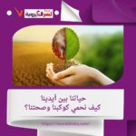 خطوات صغيرة نحو مستقبل أخضر وصحي: دليل شامل لدور الفرد في مكافحة التغير المناخي وحماية البيئة"