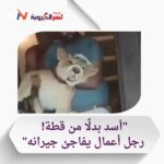 "رجل أعمال مصري يثير ضجة بتربية أسد في فيلا فارهة بالمعادي"