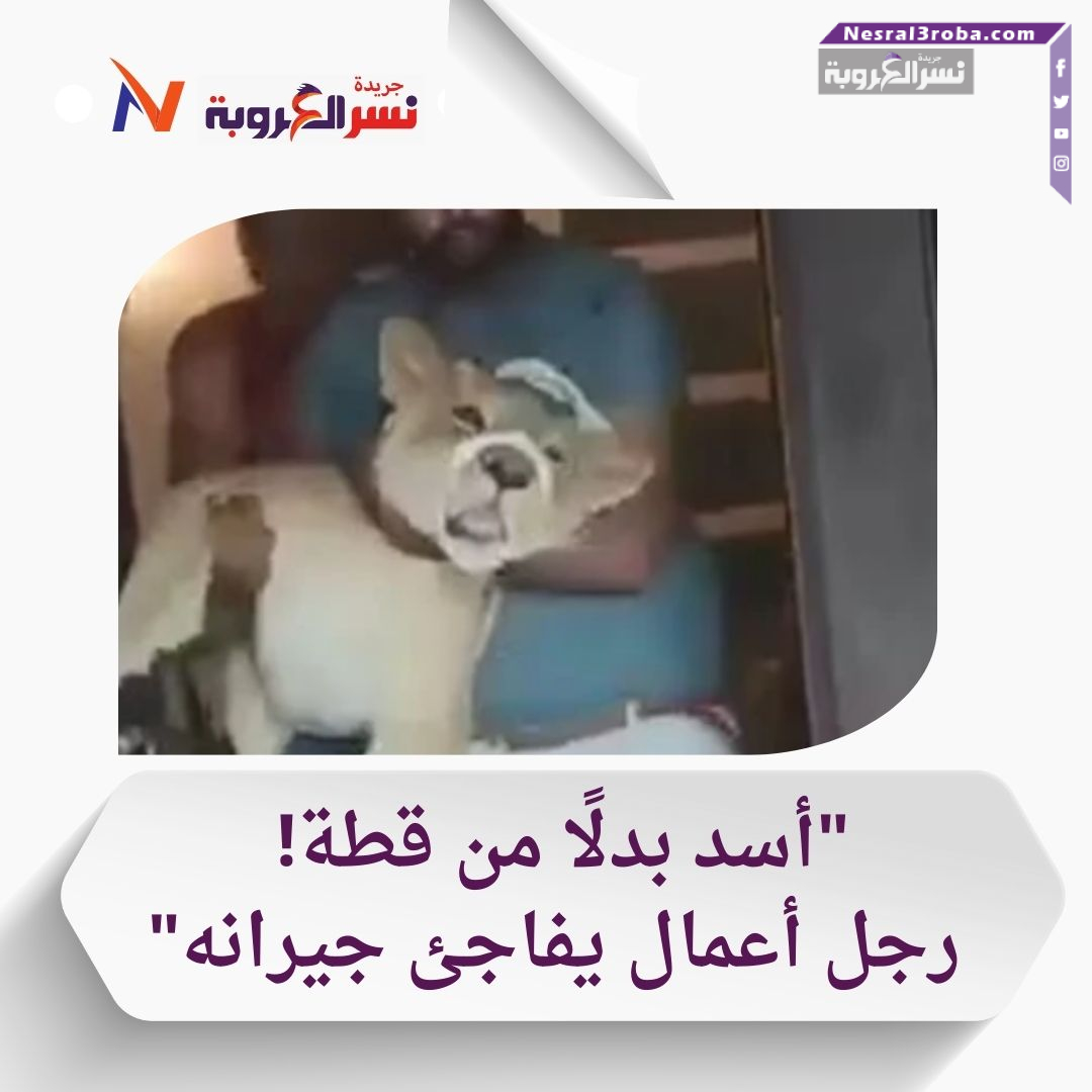 "رجل أعمال مصري يثير ضجة بتربية أسد في فيلا فارهة بالمعادي"