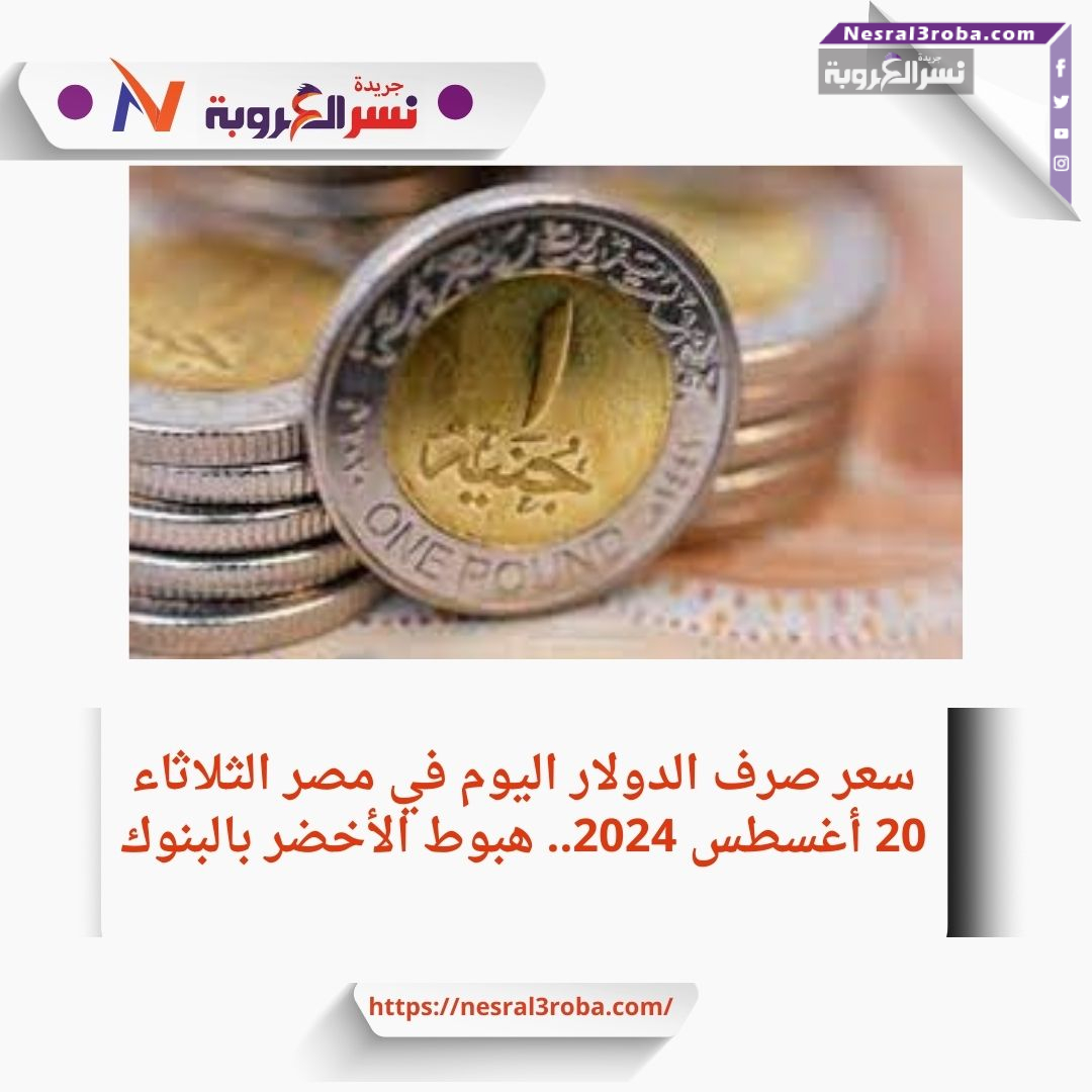 سعر صرف الدولار اليوم في مصر الثلاثاء 20 أغسطس 2024.. هبوط الأخضر بالبنوك