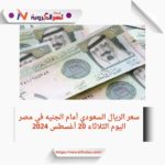 سعر الريال السعودي أمام الجنيه في مصر اليوم الثلاثاء 20 أغسطس 2024
