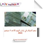 سعر الدولار في لبنان اليوم الأحد 1 سبتمبر 2024..