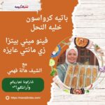 باتيه كرواسون خليه النحل فينو ميني بيتزا