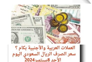 العملات العربية والأجنبية بكام ؟ سعر الصرف الريال السعودي..