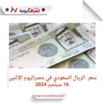 سعر الريال السعودي أمام الجنيه في مصر اليوم الإثنين 16 سبتمبر 2024