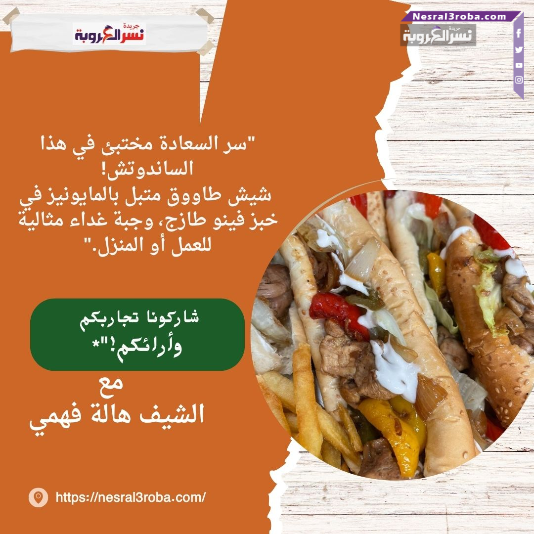 ساندوتش شيش طاووق الفينو اللذيذ مع البطاطس المقلية