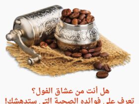 الفول: وقود الجسم وعلاج للأمراض.. تعرف على فوائده المذهلة