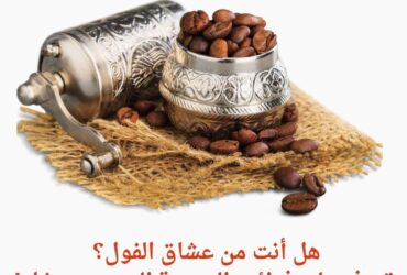 الفول: وقود الجسم وعلاج للأمراض.. تعرف على فوائده المذهلة