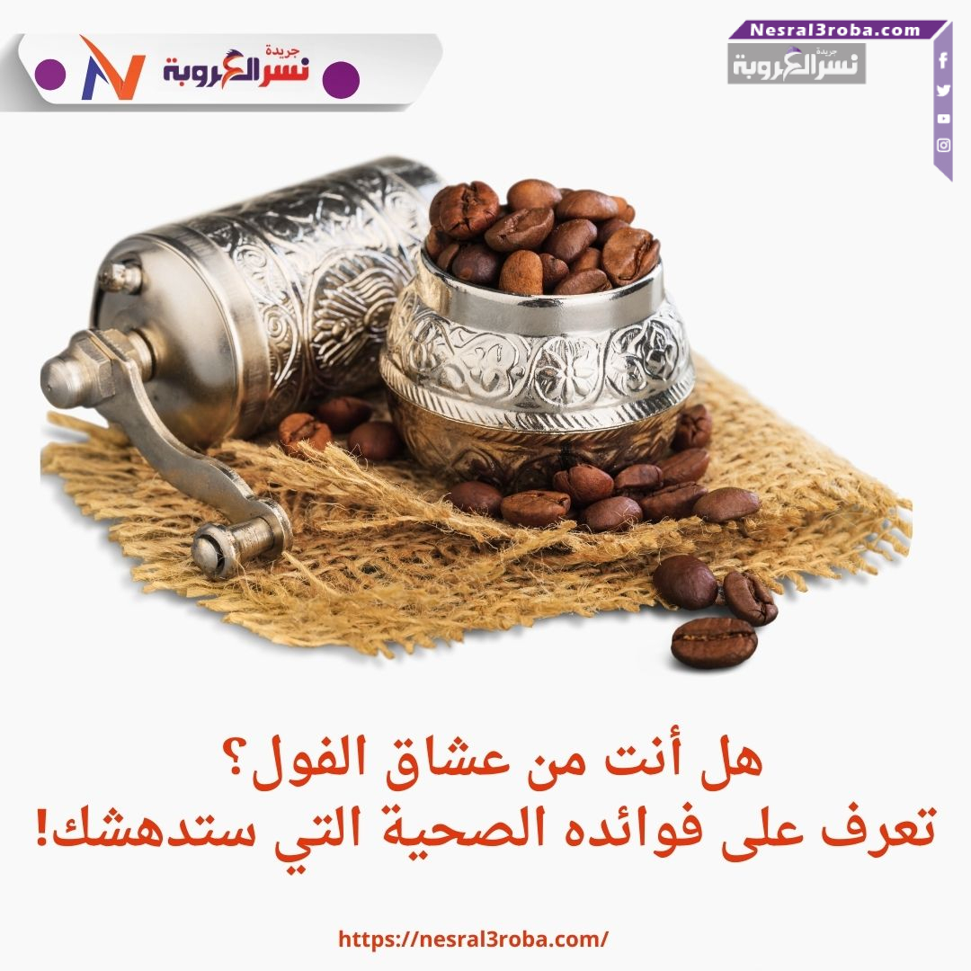 الفول: وقود الجسم وعلاج للأمراض.. تعرف على فوائده المذهلة