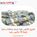 تطبيق القانون بقوة ضبط مخالفات مالية بقيمة 10 ملايين جنيه