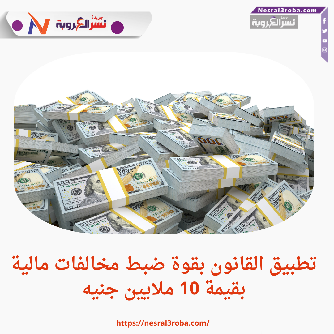 تطبيق القانون بقوة ضبط مخالفات مالية بقيمة 10 ملايين جنيه