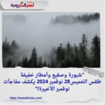 "شبورة وصقيع وأمطار خفيفة.. طقس الخميس28 نوفمبر 2024 يكشف مفاجآت نوفمبر الأخيرة!"