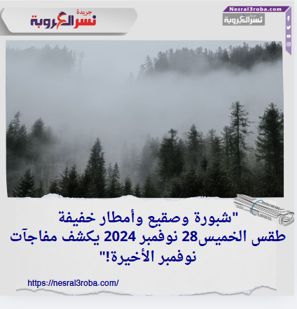 "شبورة وصقيع وأمطار خفيفة.. طقس الخميس28 نوفمبر 2024 يكشف مفاجآت نوفمبر الأخيرة!"