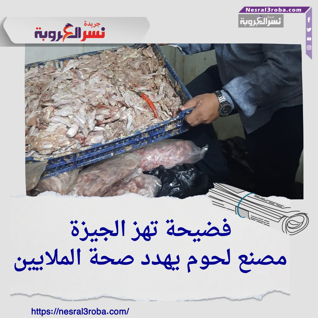 فضيحة تهز الجيزة: مصنع لحوم يهدد صحة الملايين