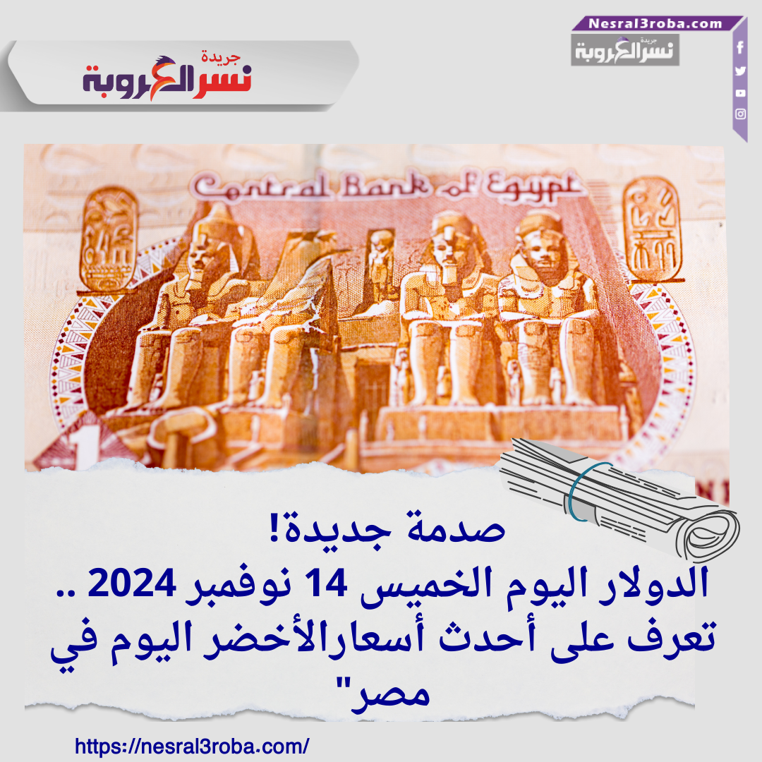 صدمة جديدة! الدولار اليوم الخميس 14 نوفمبر 2024 .. تعرف على أحدث أسعارالأخضر اليوم في مصر"