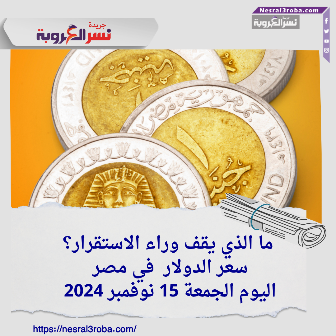 ما الذي يقف وراء الاستقرار؟سعر الدولار اليوم الجمعة 15 نوفمبر 2024