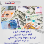 أسعار العملات اليوم أمام الجنيه المصري.. ارتفاع ملحوظ وتحديث لحظي من البنك المركزي