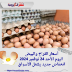 أسعار الفراخ والبيض اليوم الأحد 24 نوفمبر 2024.. انخفاض جديد يشعل الأسواق