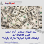 سعر الدولار ينخفض أمام الجنيه اليوم 2/12/2024.. توقعاتك للفترة الجاية؟ شاركنا رأيك!"