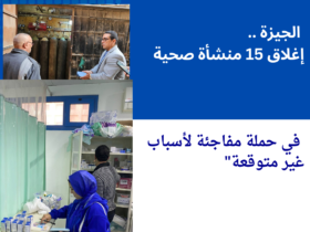 الجيزة ..إغلاق 15 منشأة صحية مخالفة بسبب تهديدها لصحة المواطنين في حملة مفاجئة"
