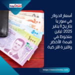أسعار الدولار في سوريا بتاريخ 11 يناير 2025: تباين ملحوظ في قيمة الأخضر والليرة التركية