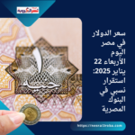 سعر الدولار في مصر اليوم الأربعاء 22 يناير 2025: استقرار نسبي في البنوك المصرية