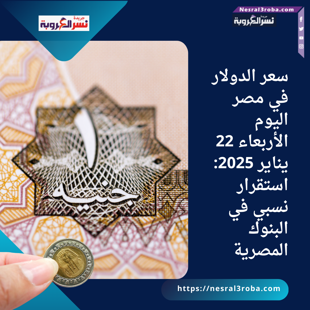 سعر الدولار في مصر اليوم الأربعاء 22 يناير 2025: استقرار نسبي في البنوك المصرية