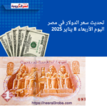 تحديث سعر الدولار في مصر اليوم الأربعاء 8 يناير 2025